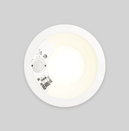 ダウンライト